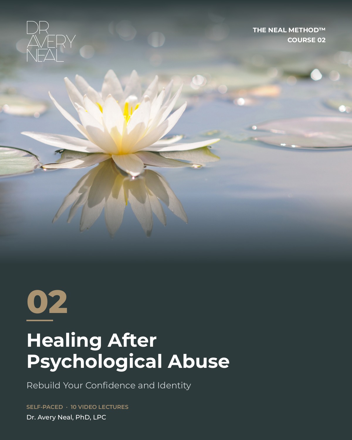 Healing After Psychological Abuse. Rebuild Your Confidence and Identity